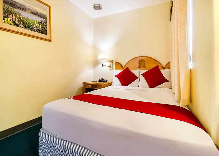 Hotel Palladium 3*