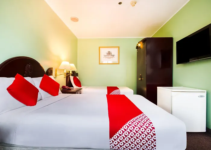 Hotel Palladium 3*