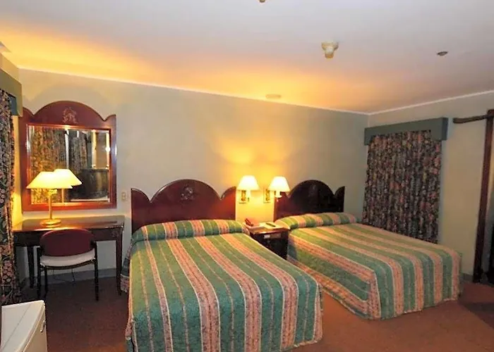 Hotel Palladium 3*